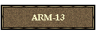 ARM-13